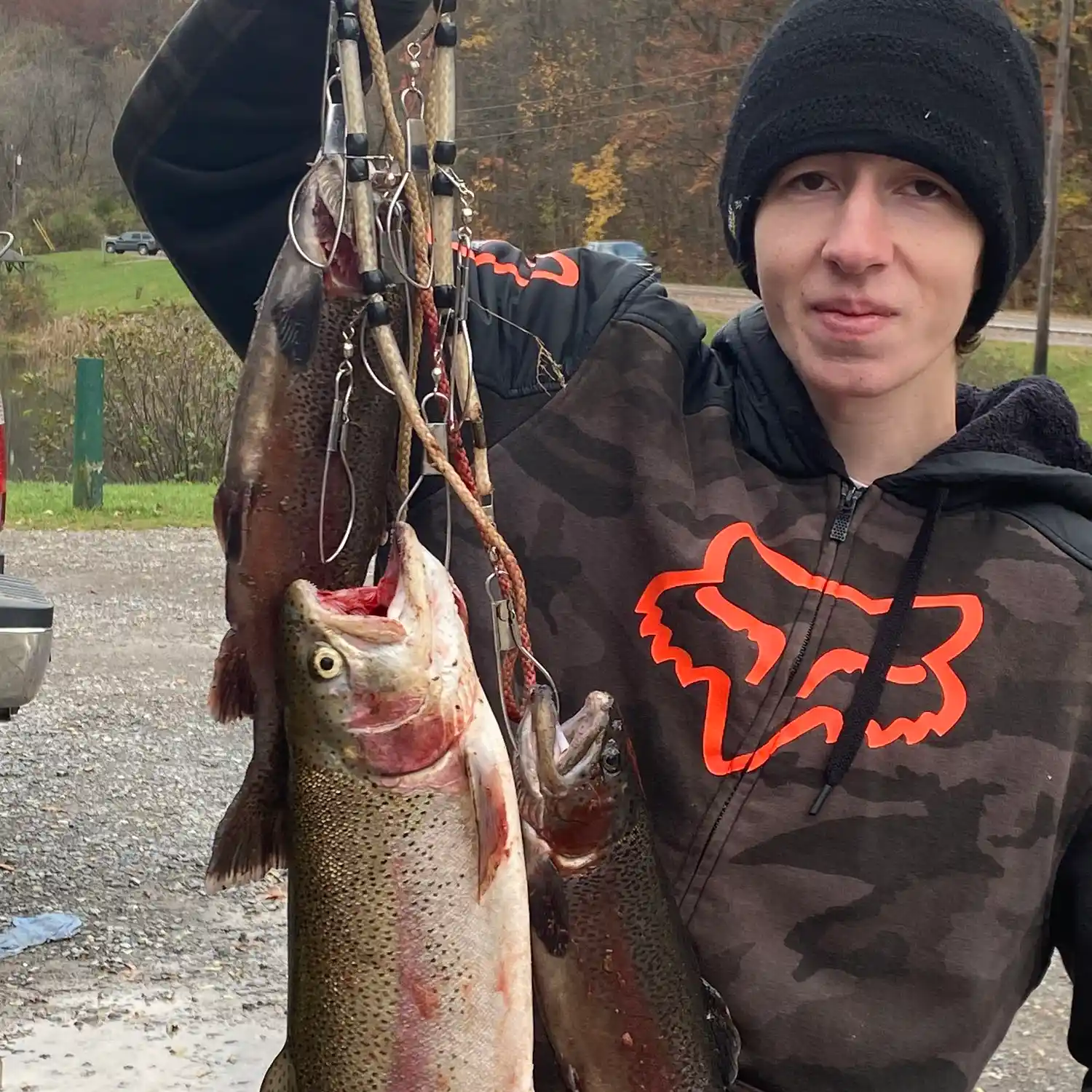 ᐅ Coopers Rock Lake fishing reports🎣• Morgantown, WV (United States)  fishing