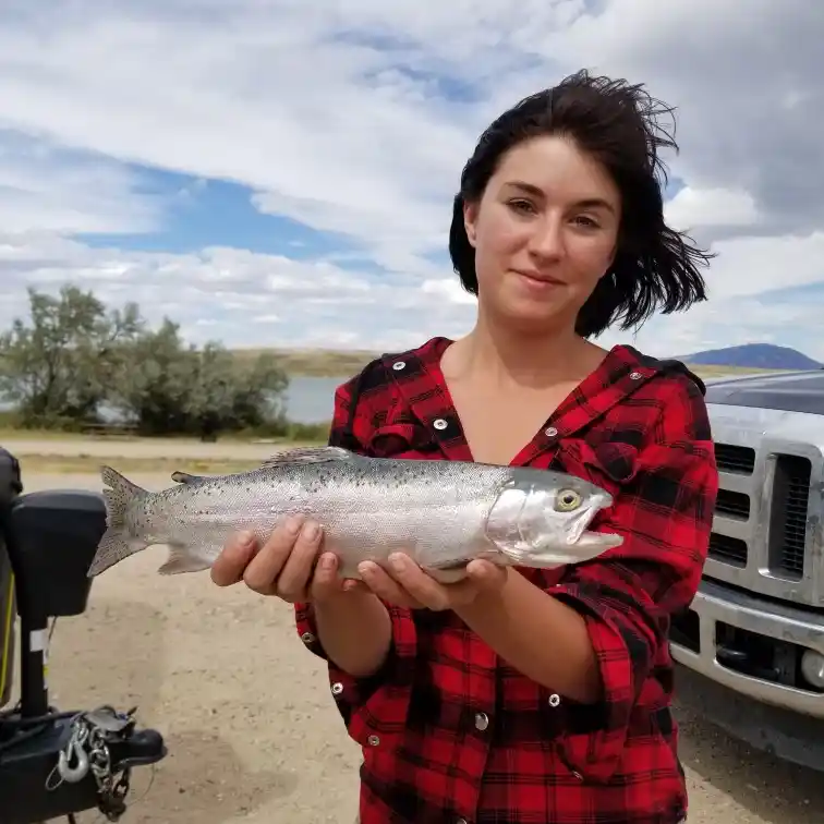 ᐅ Saratoga Lake fishing reports🎣• Laramie, WY (United States