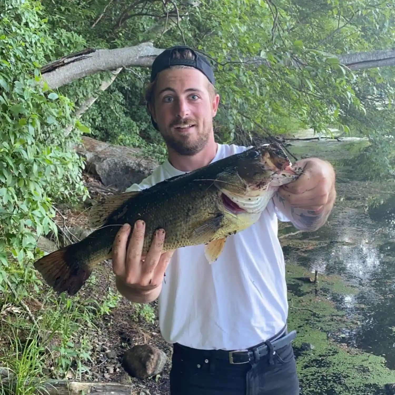 ᐅ French Stream fishing reports🎣• Hanover, MA (United States) fishing