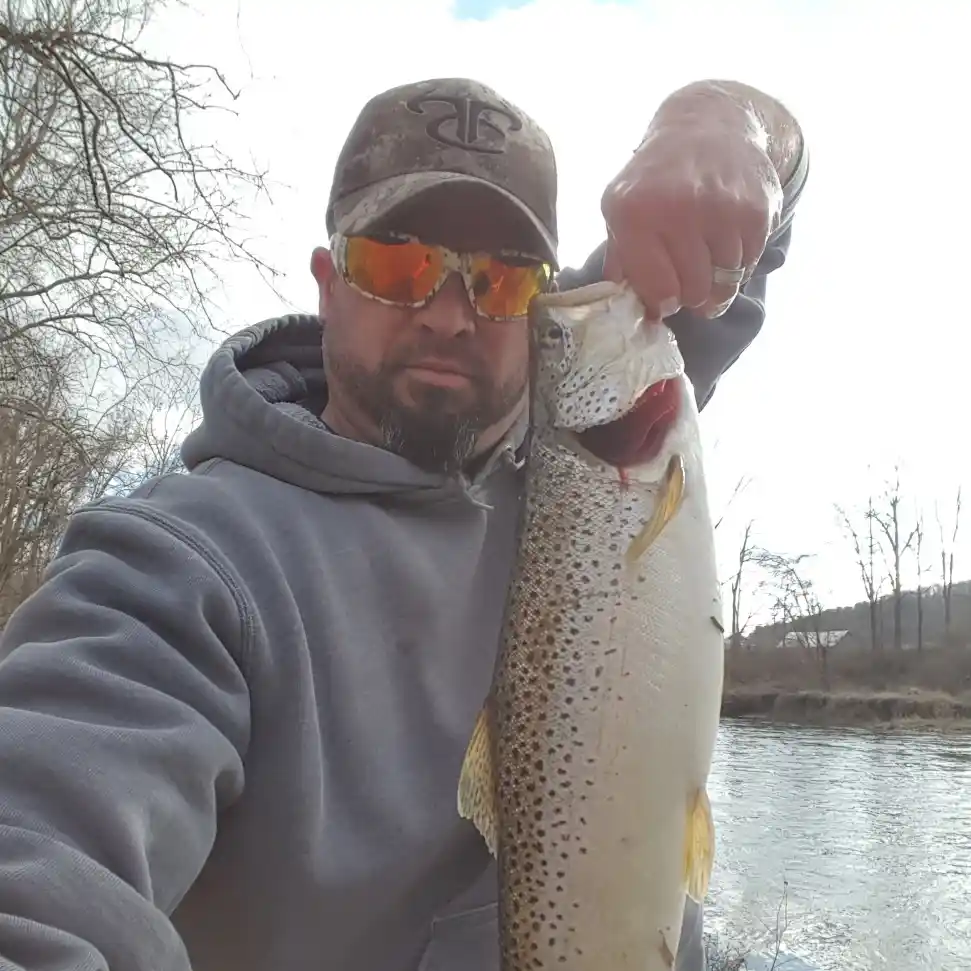 FISHING A TROUT MUD