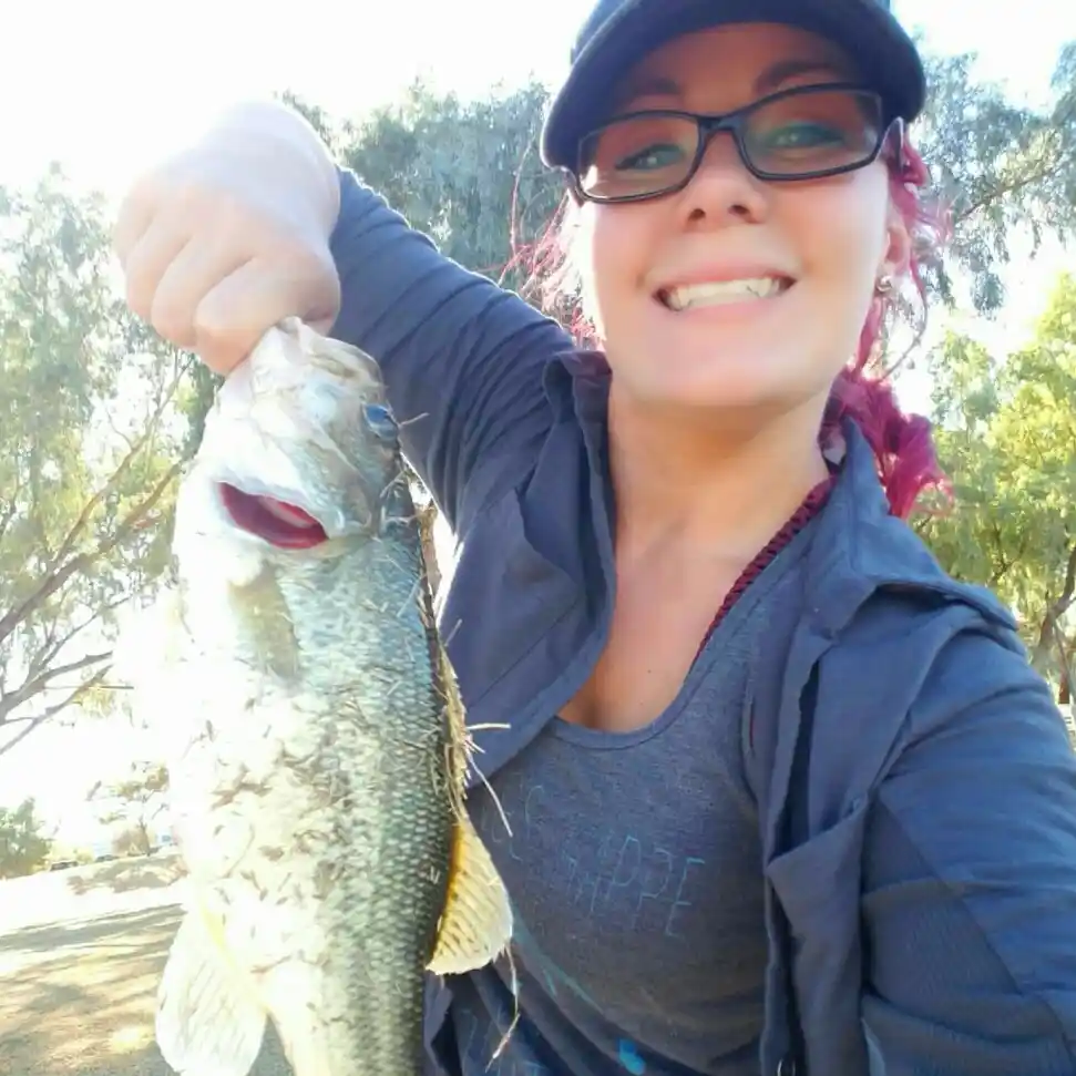 Bass Fishing for Girls (Girls in Nature - A Journey of Discovery)