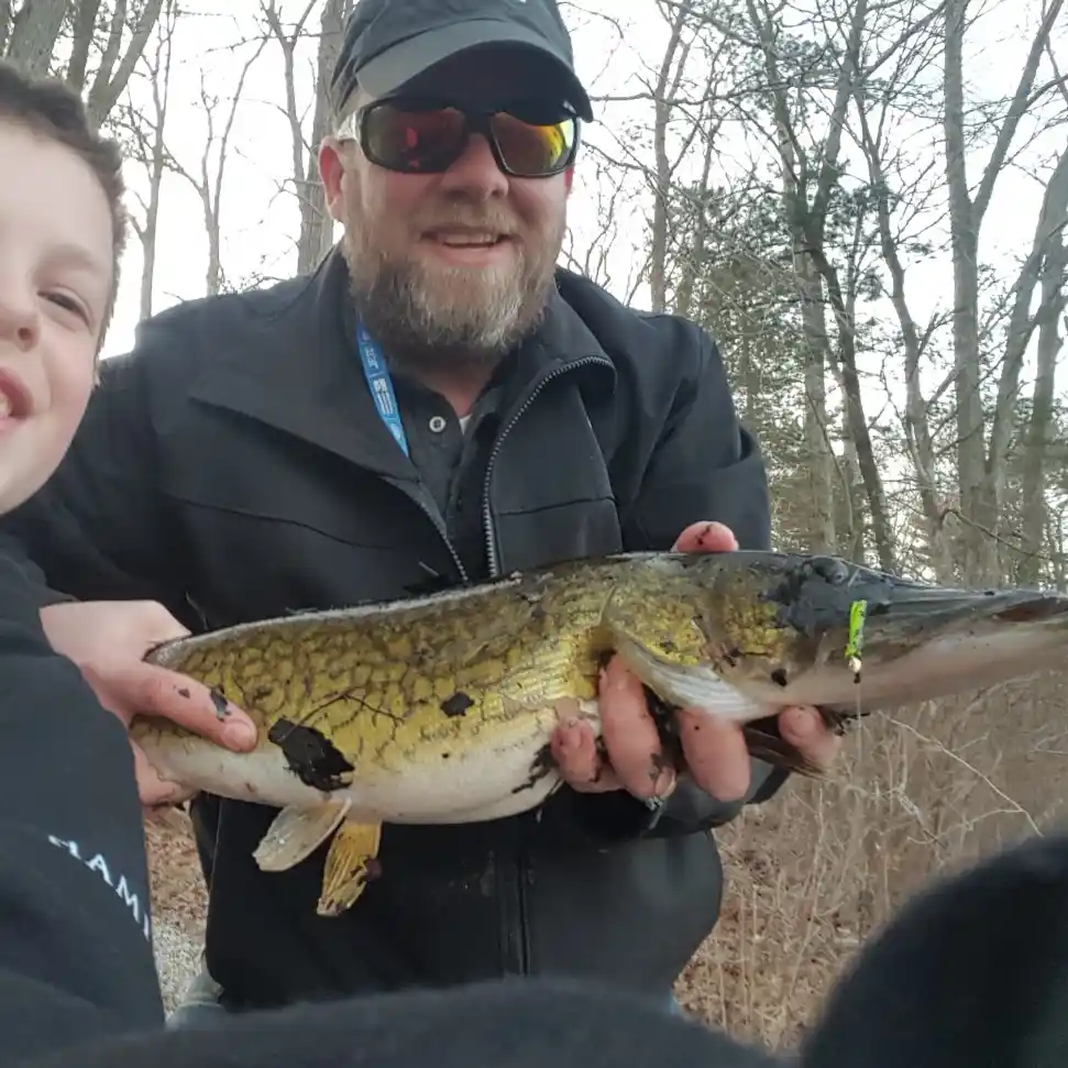 ᐅ French Stream fishing reports🎣• Hanover, MA (United States) fishing