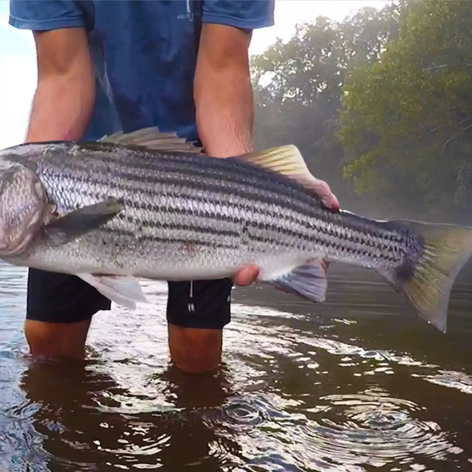 Fly Fishing the Lower Saluda River in Columbia, SC