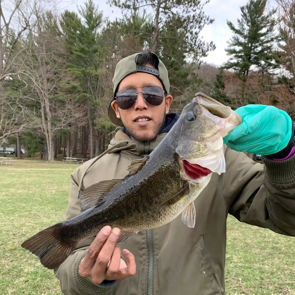 ᐅ Upper Rhoda Pond fishing reports🎣• Red Hook, NY (United States