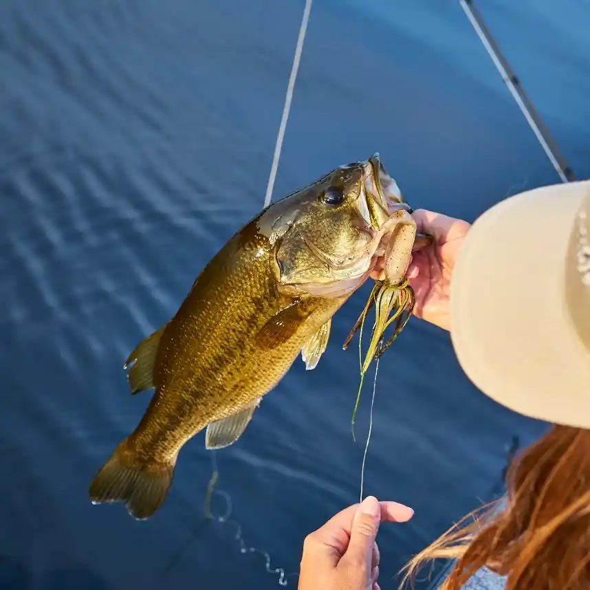 Fishing on Weslemkoon Lake - Naturally Lennox & Addington