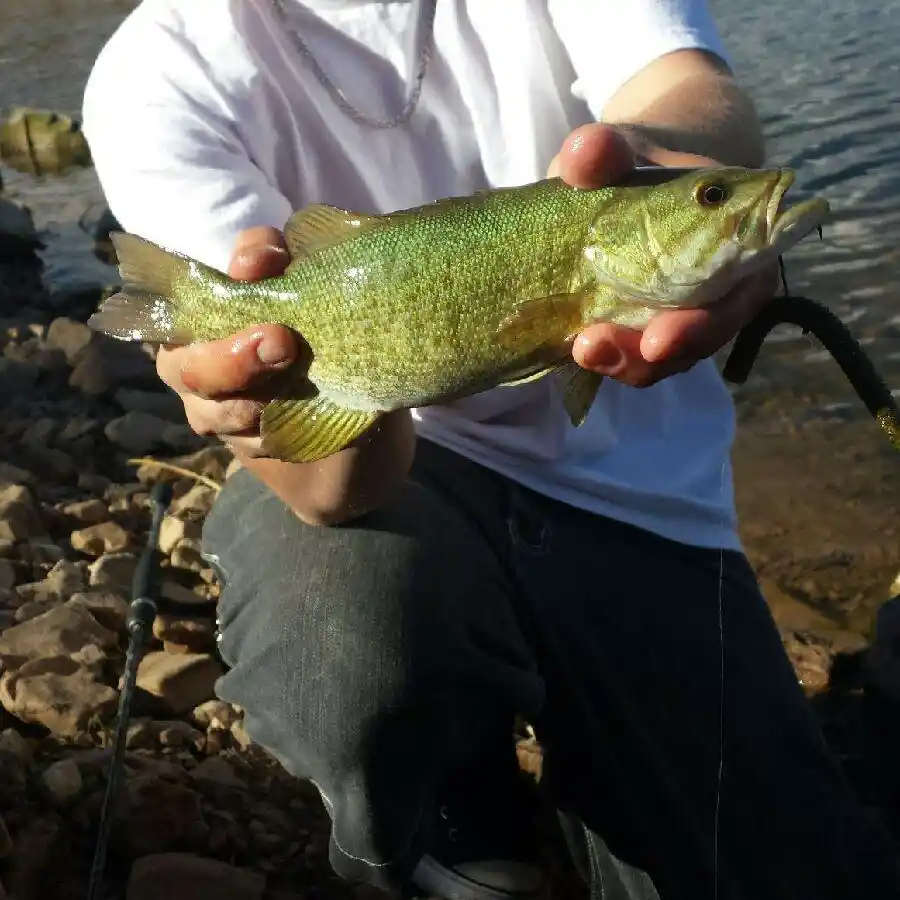 Deer Creek Fishing Report - Kraken Bass