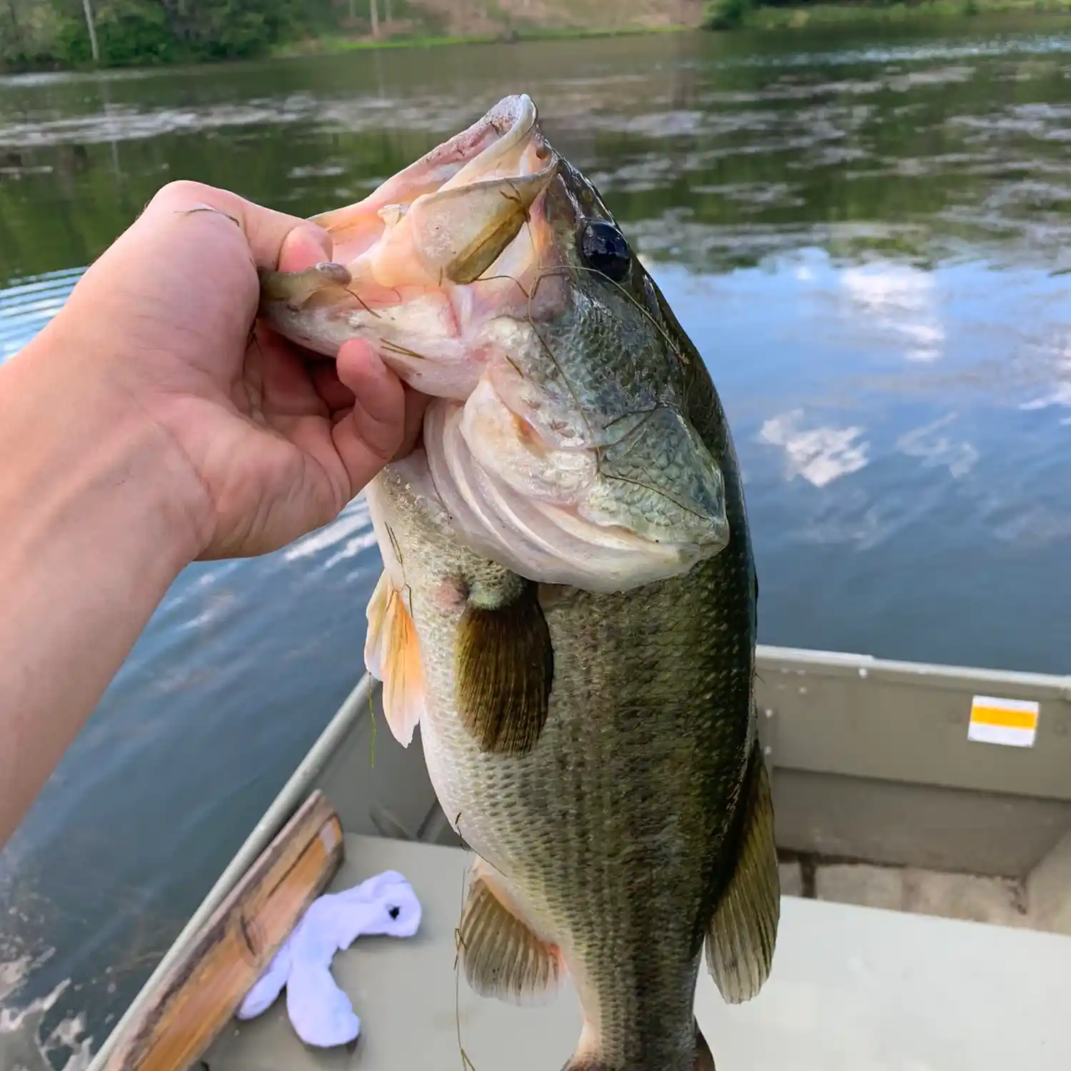 ᐅ Ridgebury Lake Fishing Reports🎣• Middletown, Ny (united States) Fishing