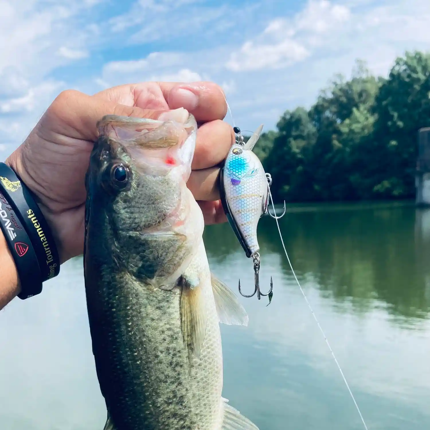 ᐅ Fowler Lake fishing reports🎣• Fayetteville, GA (United States