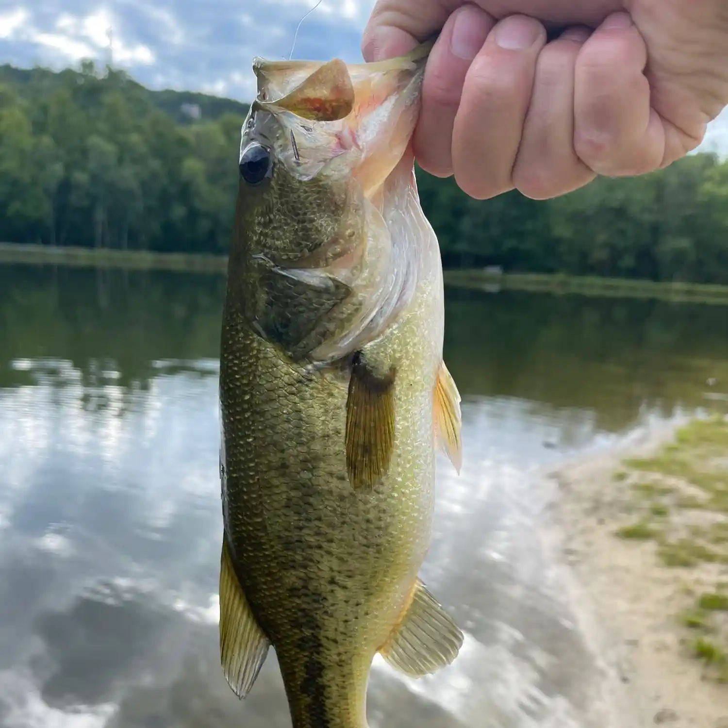 ᐅ Bushkill Falls fishing reports🎣• Middle Smithfield, PA (United States)  fishing