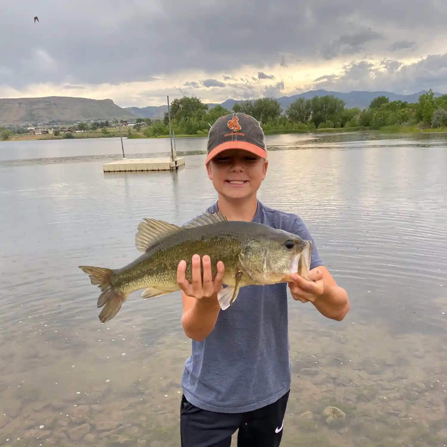 ᐅ Hyatt Lake fishing reports🎣• Arvada, CO (United States) fishing