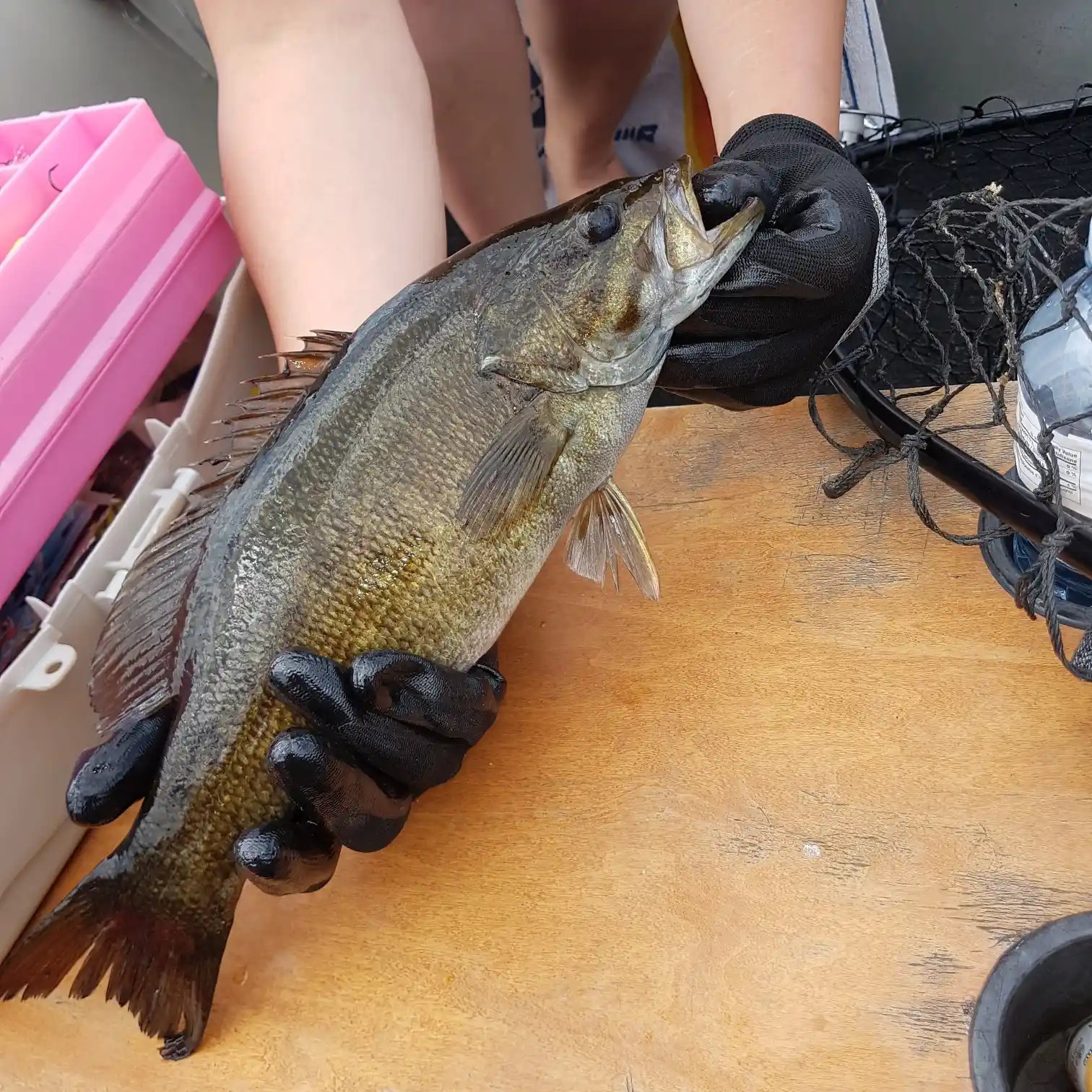 ᐅ Big East River fishing reports🎣• Ontario, Canada fishing