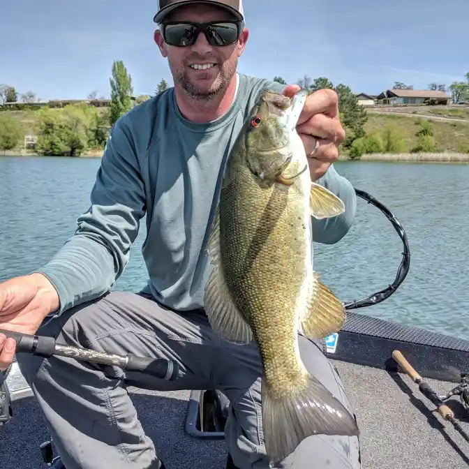 ᐅ Winchester Wasteway fishing reports🎣• Moses Lake, WA (United