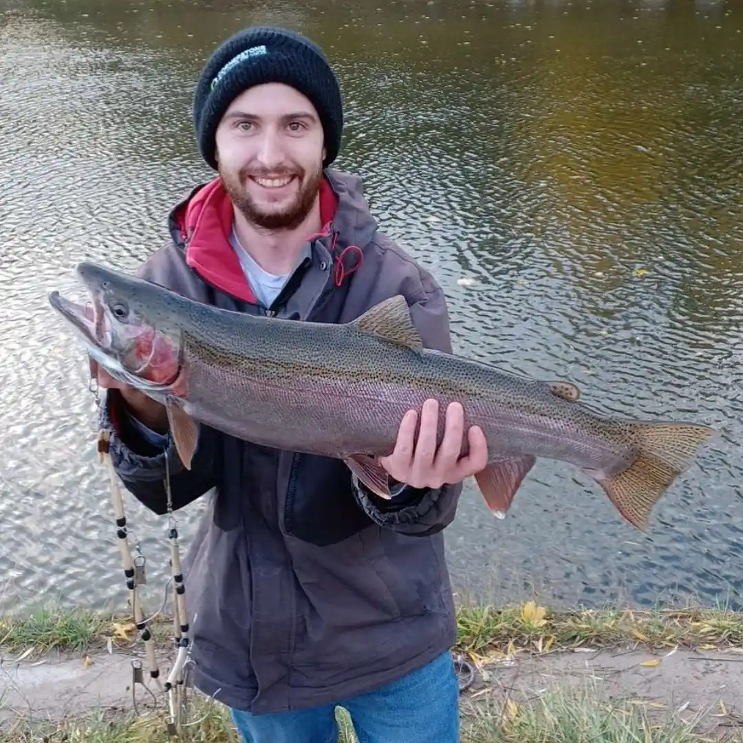 ᐅ Meaford Creek fishing reports🎣• Ontario, Canada fishing