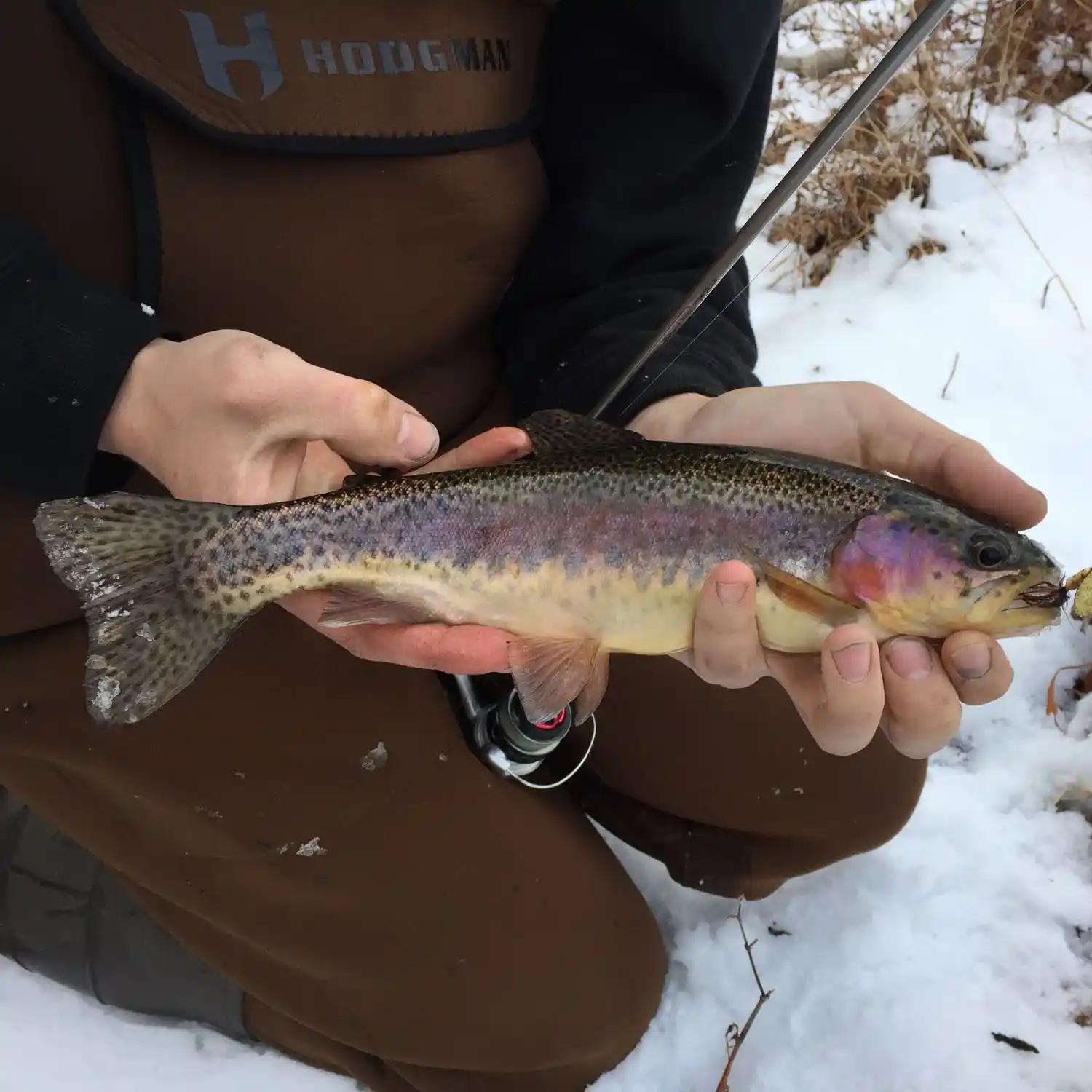 Everything You Need to Know About Trout Fishing in the Pocono