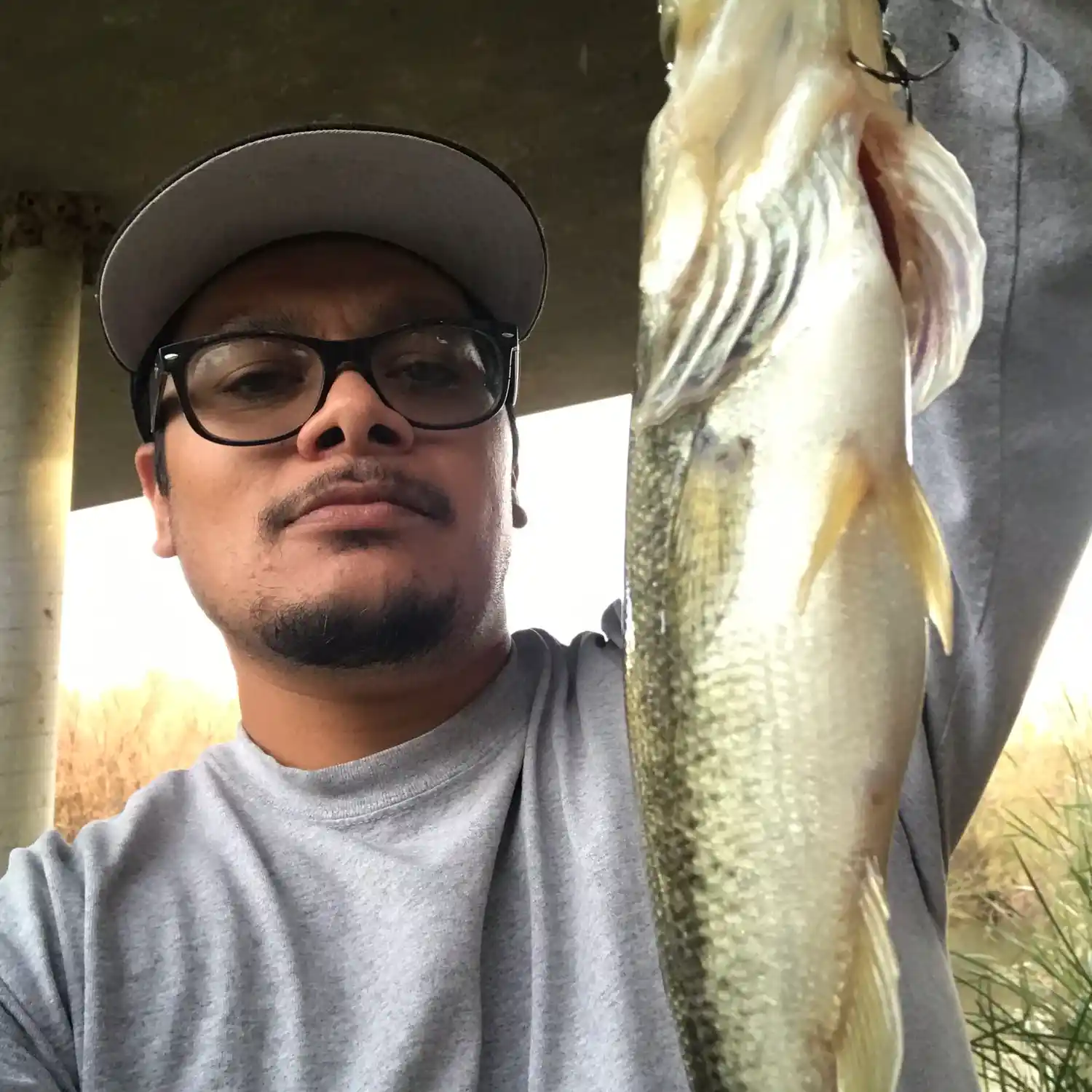 Palo Fishing 