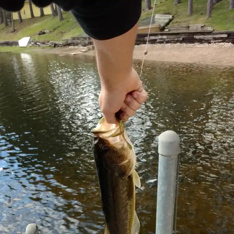 ᐅ Bell Creek fishing reports🎣• Ishpeming, MI (United States) fishing