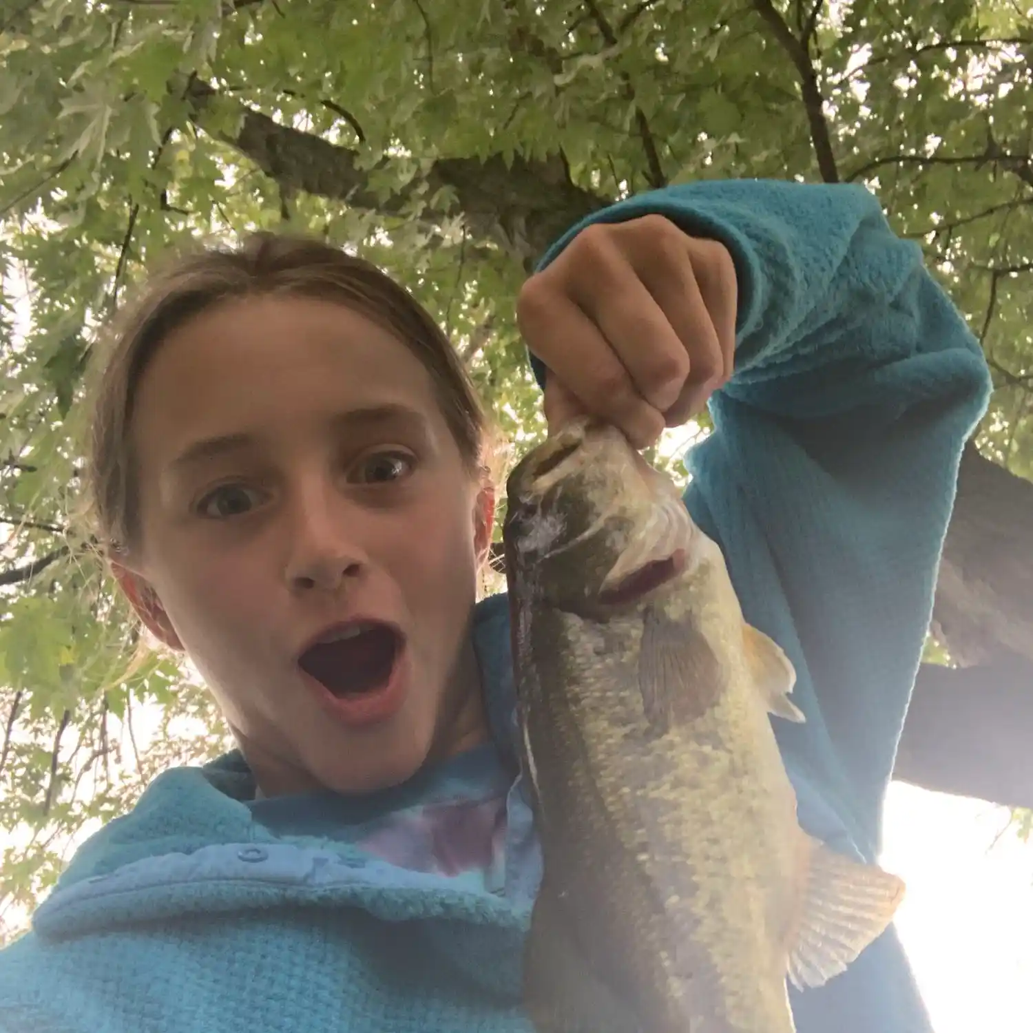 ᐅ Clare Lake fishing reports🎣• Michigan City, IN (United States) fishing
