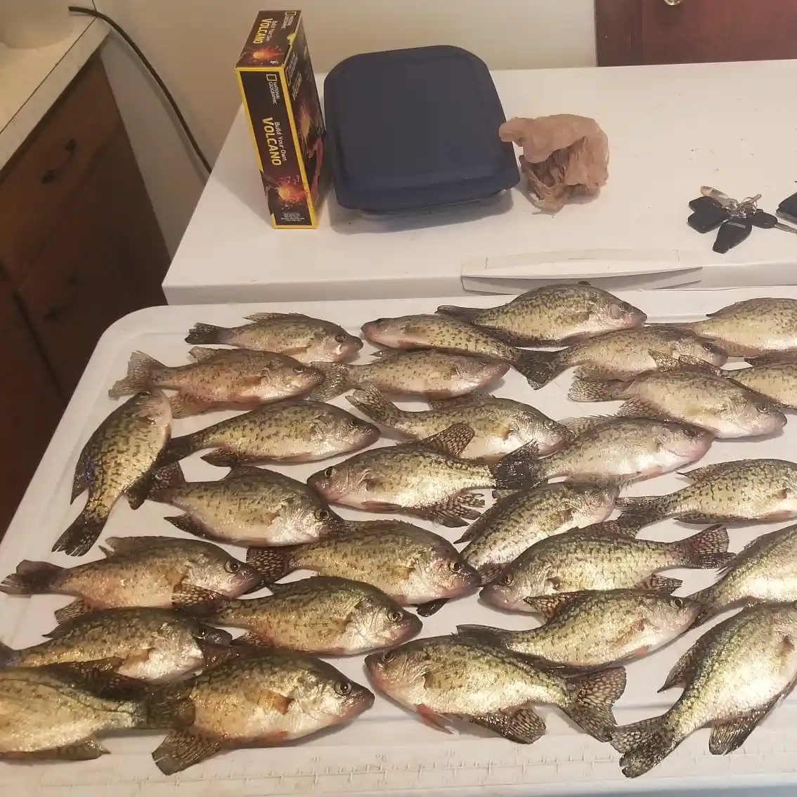NWA fishing report: Water clarity varies from Beaver Lake headwaters to the  dam