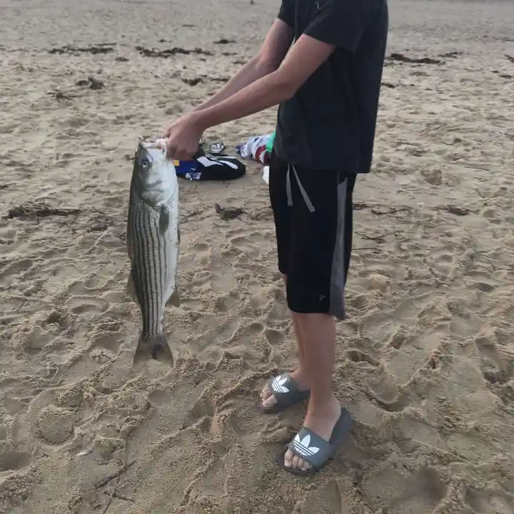 ᐅ Pawcatuck River fishing reports🎣• Stonington, RI (United States) fishing