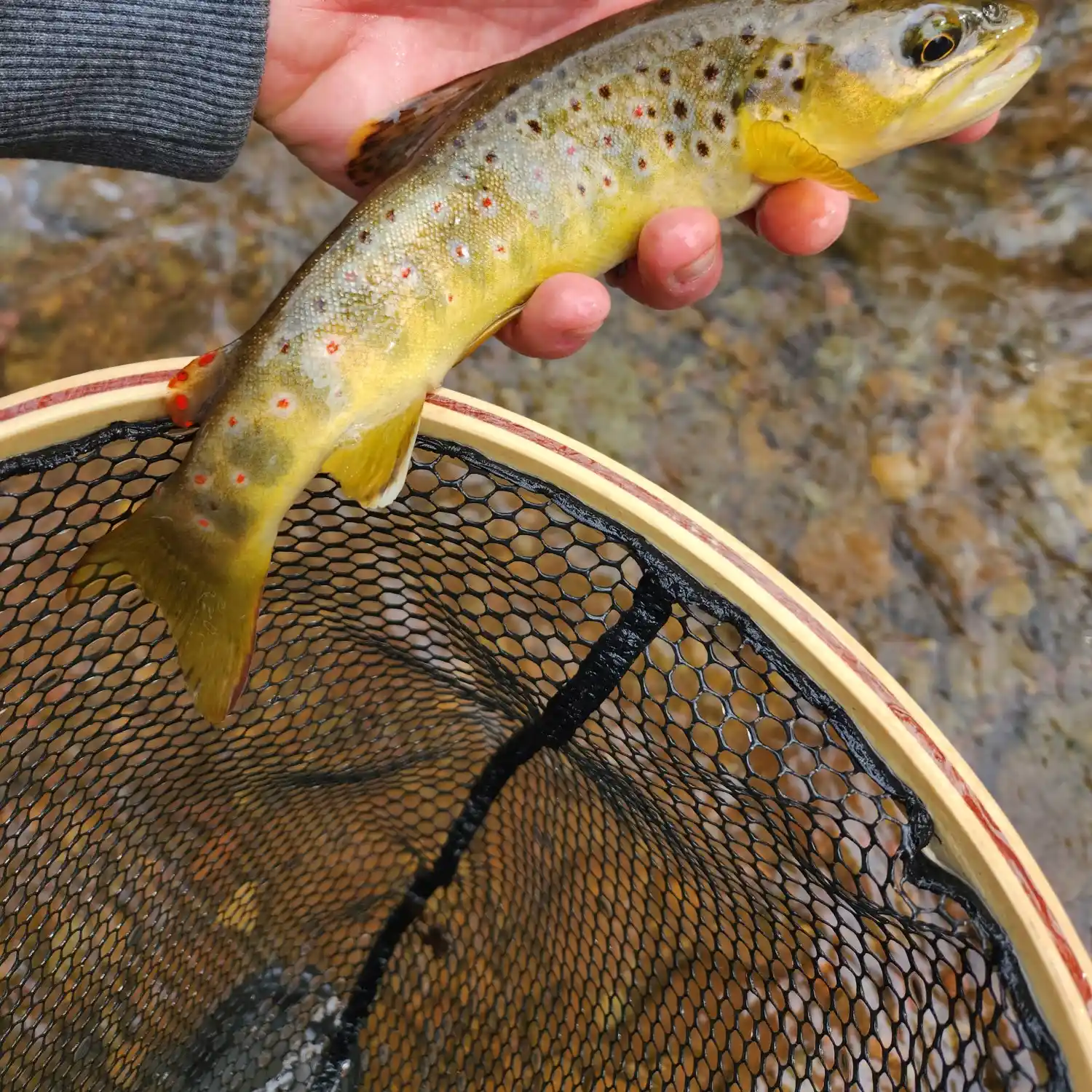 Fishing Creek Pennsylvania