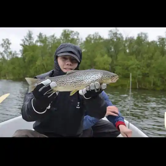 ᐅ Sädvajaure fishing reports🎣• Norrbotten, Sweden fishing