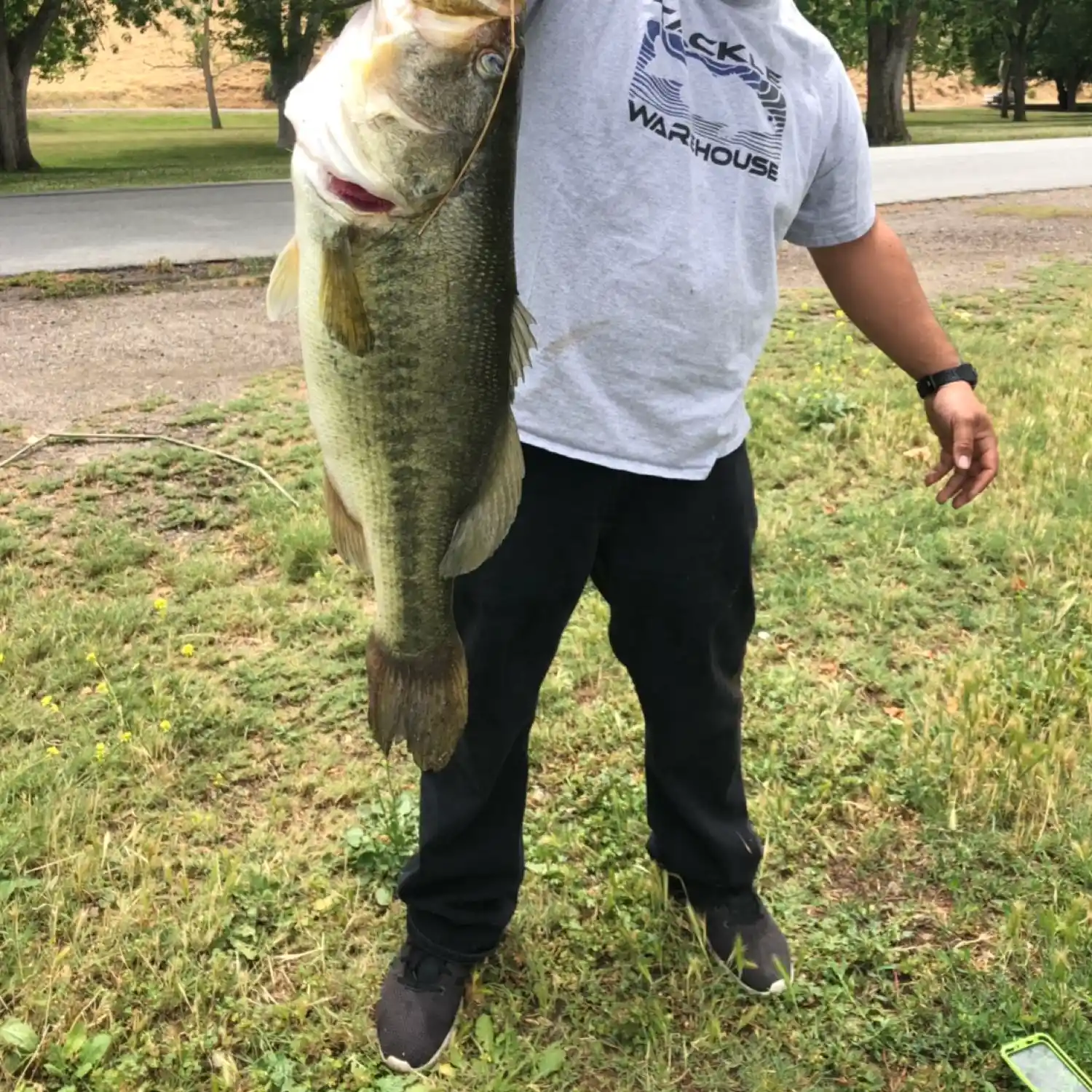 ᐅ Hart Park Lake fishing reports🎣• Oildale, CA (United States) fishing