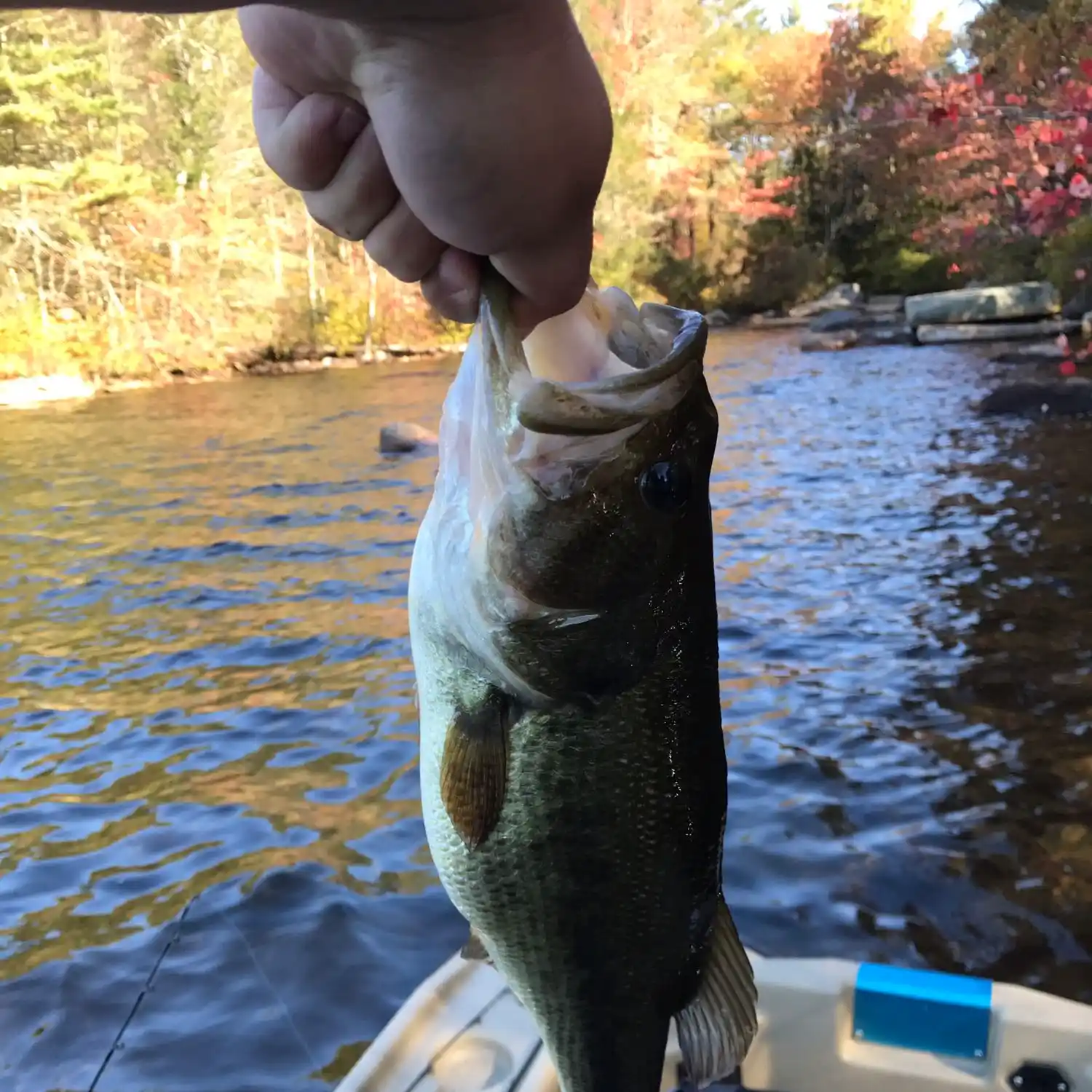 ᐅ Killingly Pond (RI) fishing reports🎣• Killingly, RI (United States ...