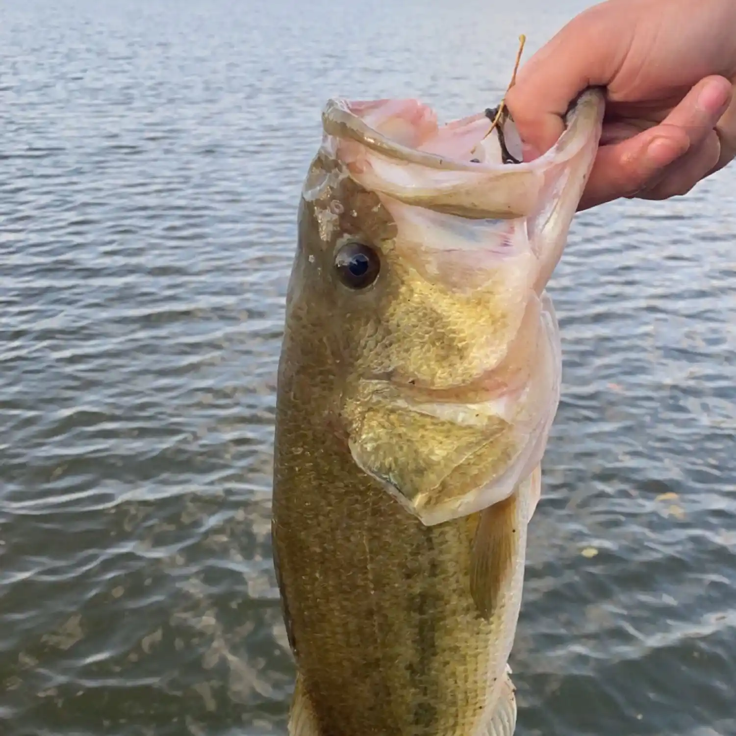 Where do you guys reccomend to go fishing in the omaha area? : r/Omaha