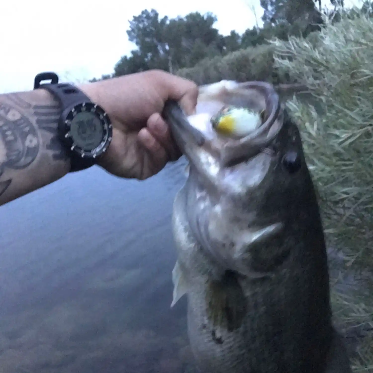 Fort Carson Kids Fishing Day