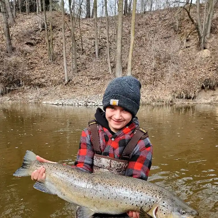 Enticed anglers arrive at Voyageur Park in De Pere for spring fishing season