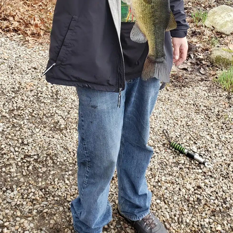 ᐅ French Stream fishing reports🎣• Hanover, MA (United States) fishing