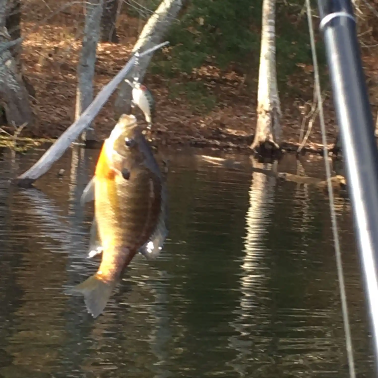 Indian Creek Fishing Area