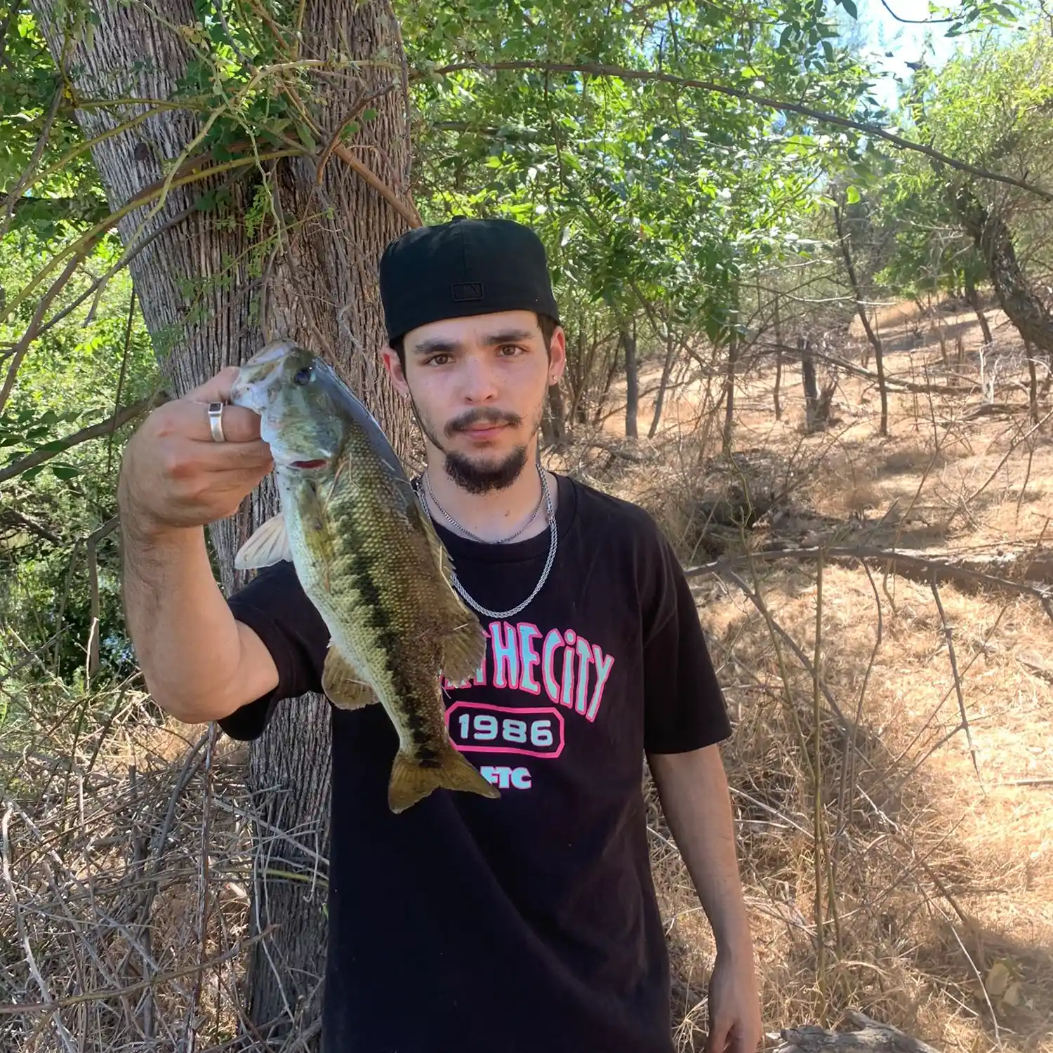 ᐅ Antelope Creek fishing reports🎣• Rocklin, CA (United States) fishing