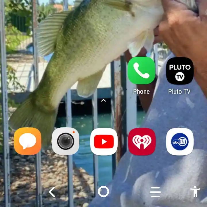 most liked catch image