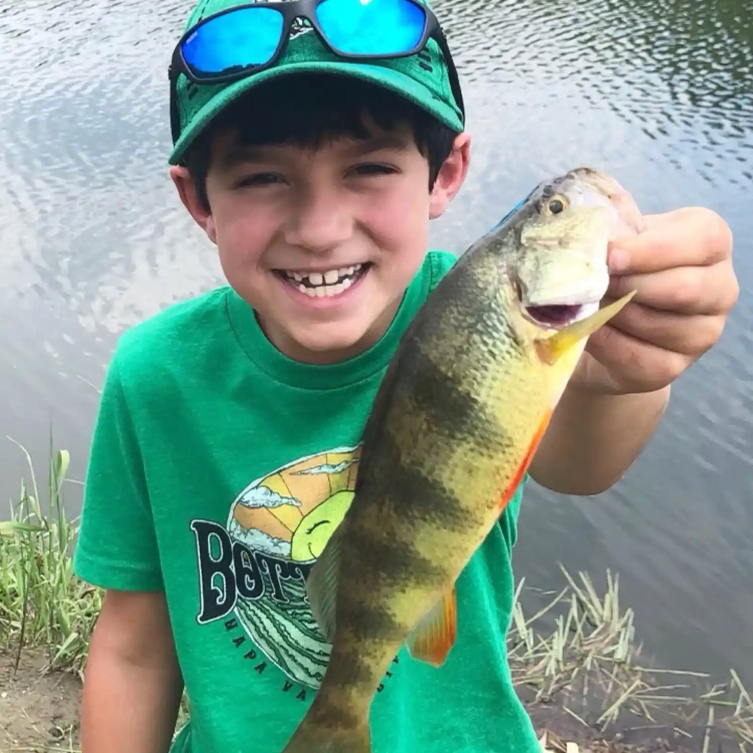 ᐅ Miller Brook fishing reports🎣• Essex, VT (United States) fishing