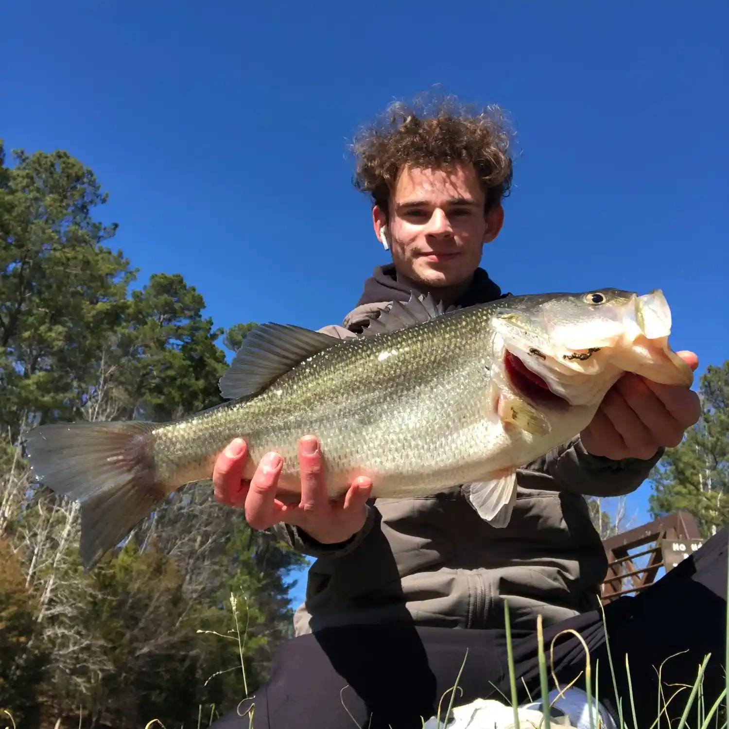 ᐅ Lake Raleigh fishing reports🎣• Raleigh, NC (United States) fishing