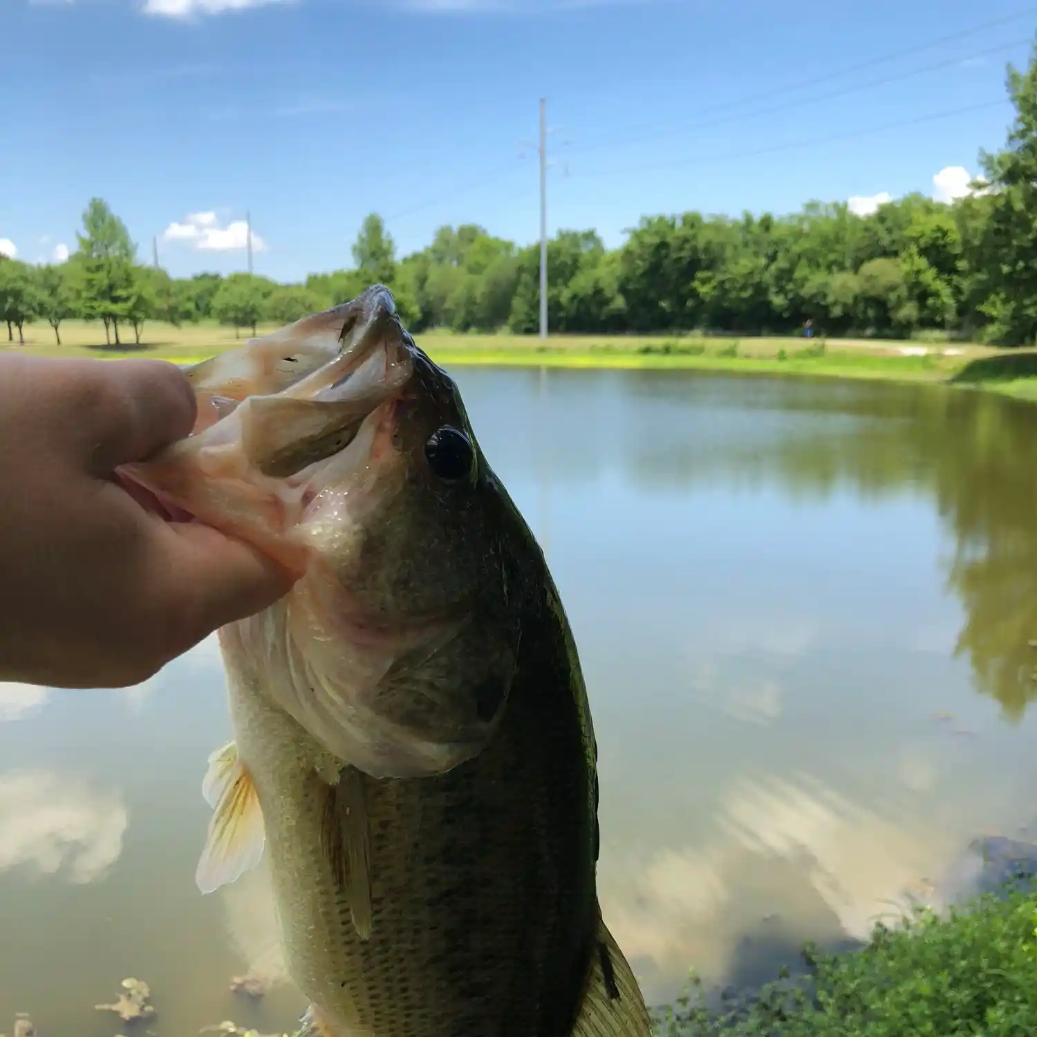 ᐅ Ablon Park fishing reports🎣• Mesquite, TX (United States) fishing