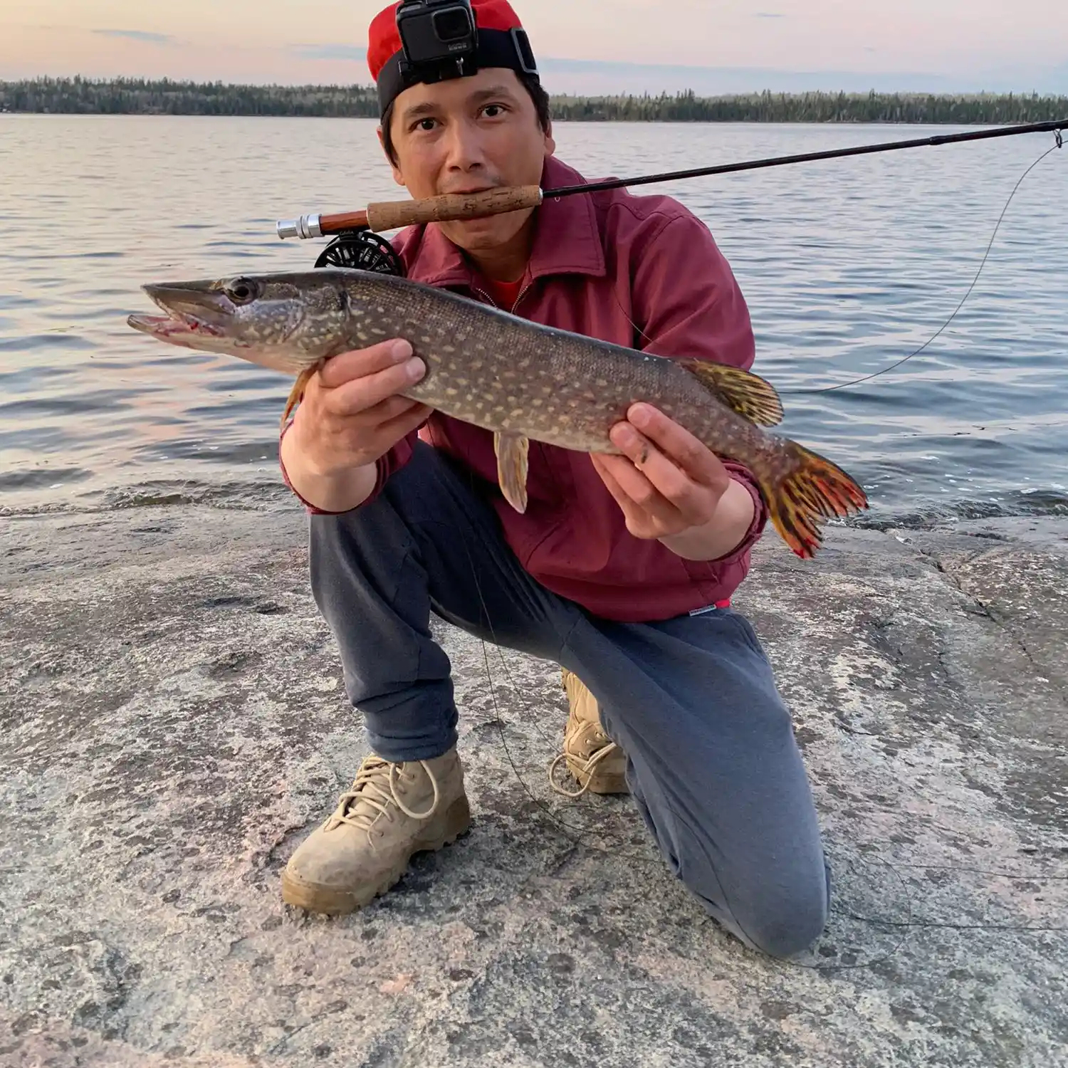 ᐅ Caddy Lake fishing reports🎣• Manitoba, Canada fishing