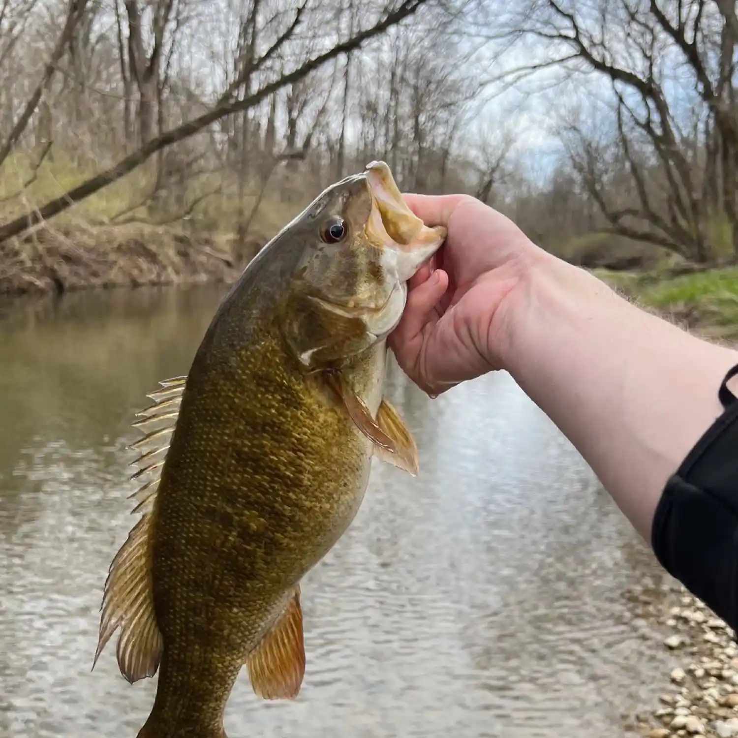 Creek Fishing with the Watsit Jig - 1st Indiana Fishing Video 