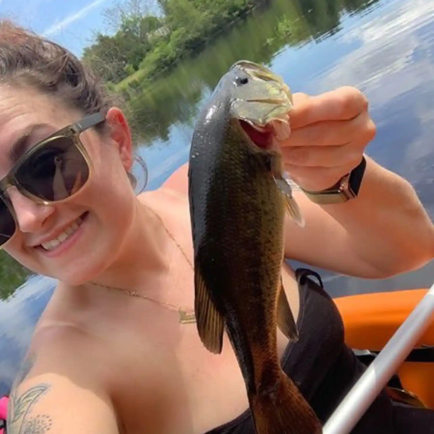 ᐅ French Stream fishing reports🎣• Hanover, MA (United States) fishing