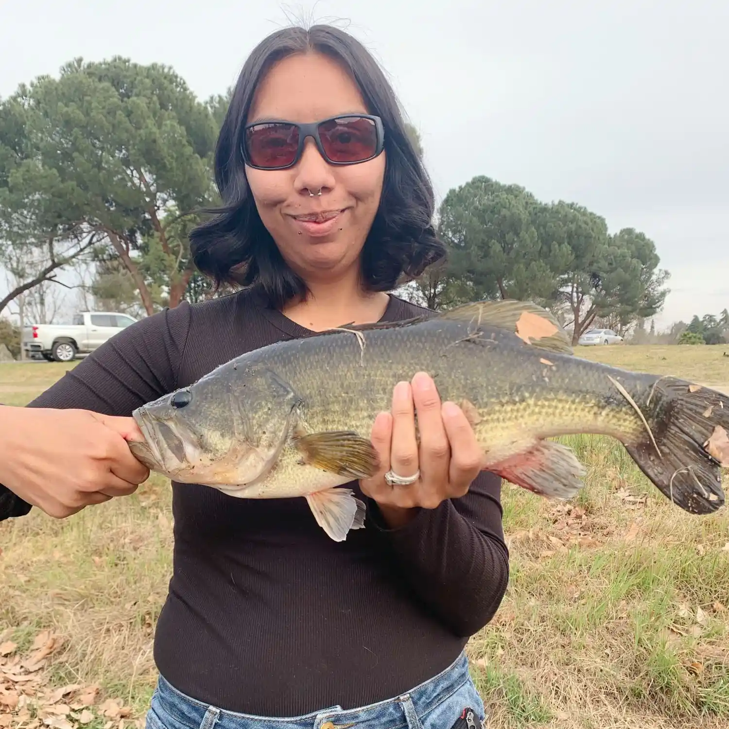 ᐅ Hart Park Lake fishing reports🎣• Oildale, CA (United States) fishing