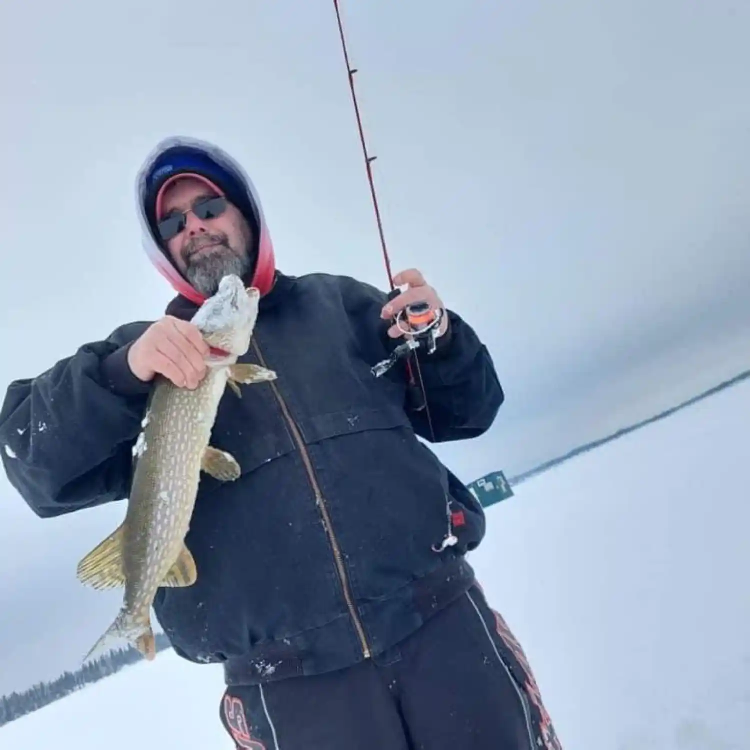 ᐅ Shallow Lake fishing reports🎣• Ontario, Canada fishing