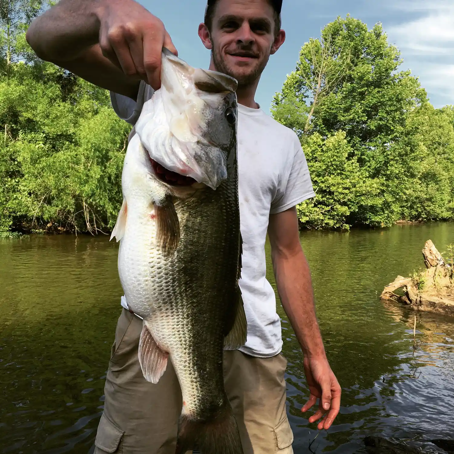 Anyone enjoy fishing? (Here's a few photos from Lake Chesdin