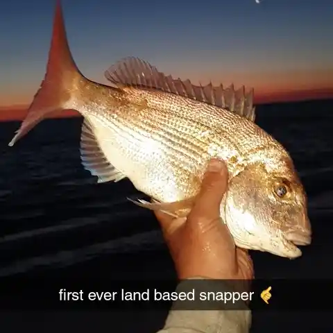 most liked catch image