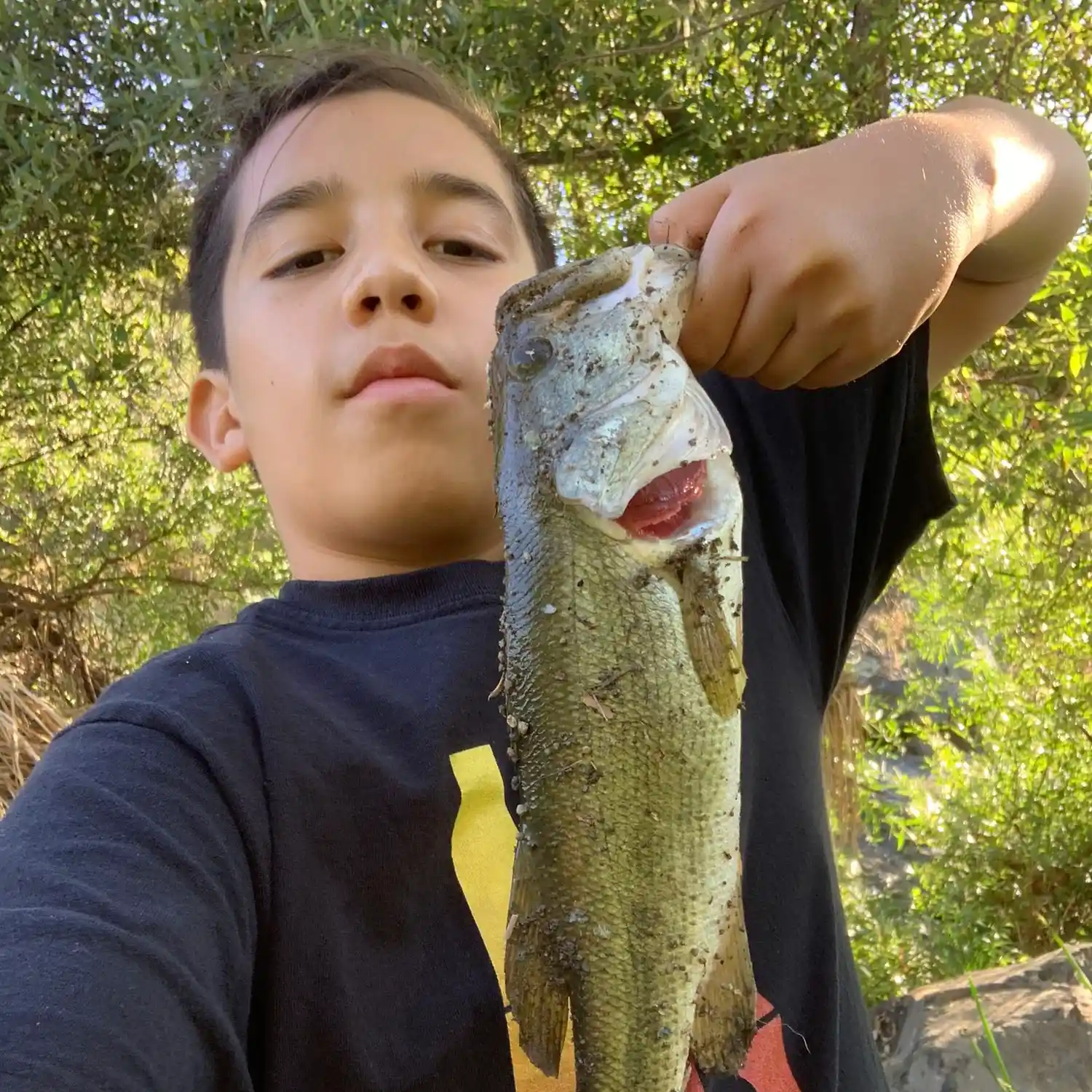 ᐅ Chicarita Creek fishing reports🎣• Poway, CA (United States) fishing