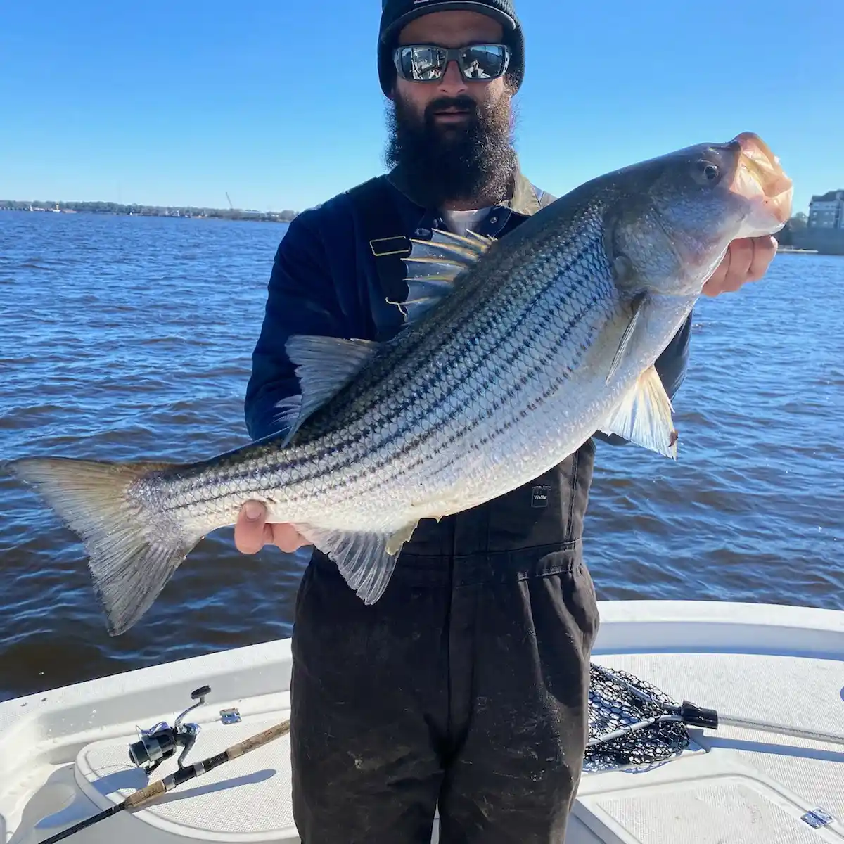 ᐅ Hampton Roads fishing reports🎣• Hampton, VA (United States) fishing