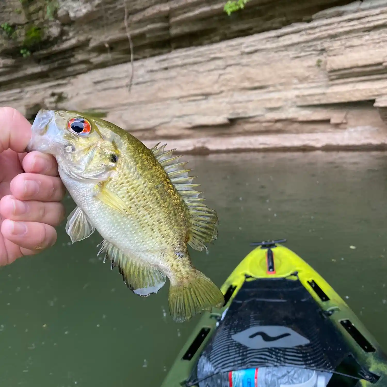 ᐅ Short Creek fishing reports🎣• Lawrenceburg, KY (United States) fishing