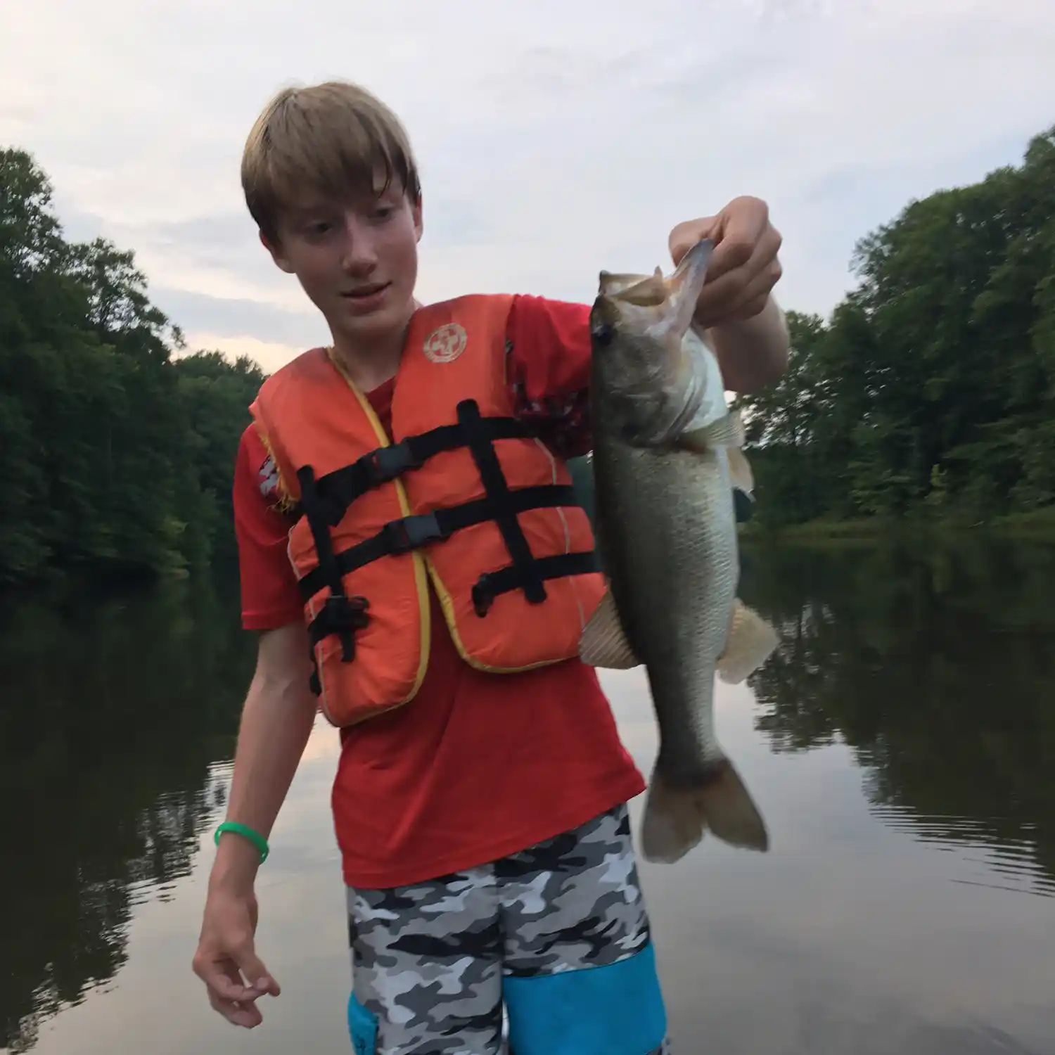 ᐅ Boy Scout Lake fishing reports🎣• Reidsville, NC (United States
