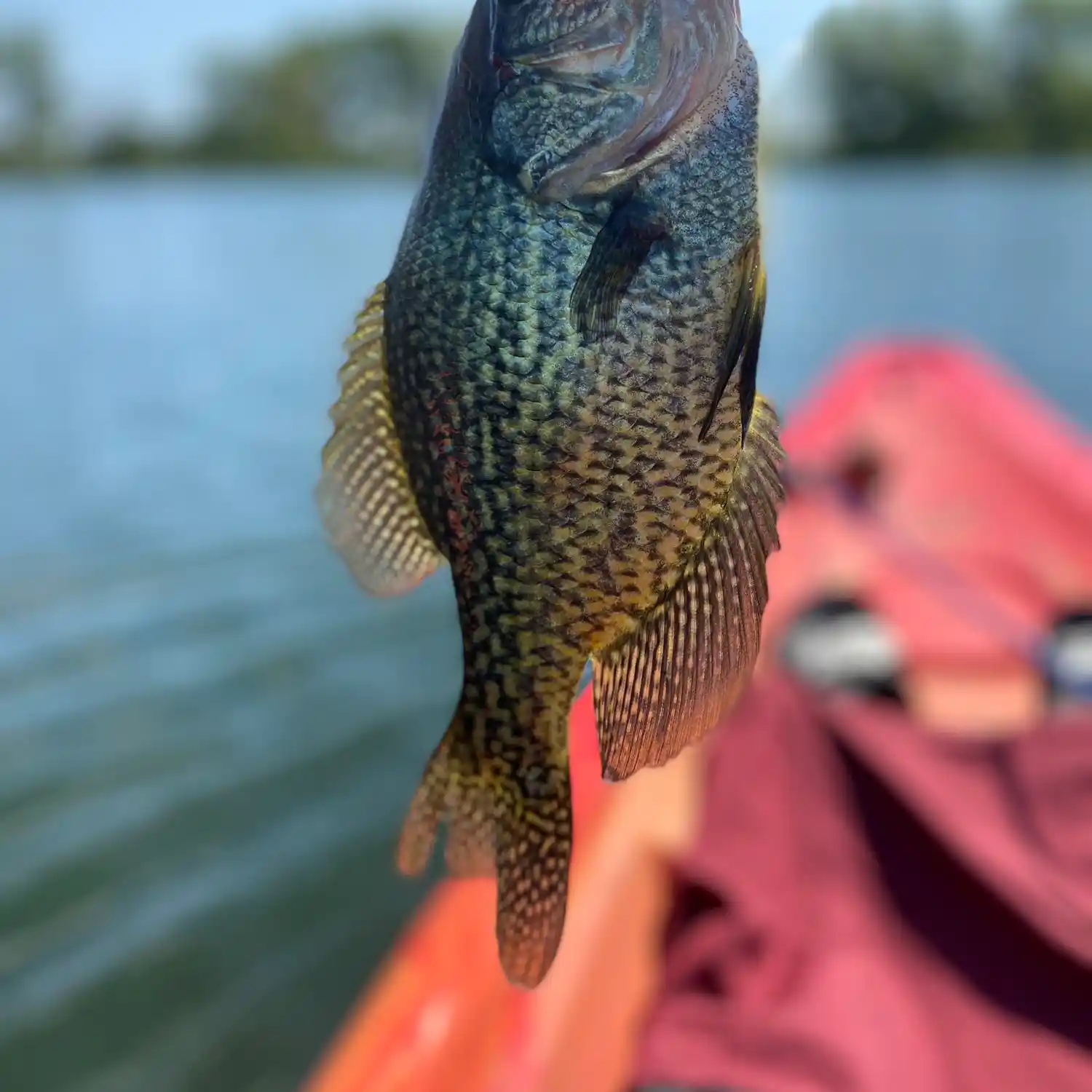 ᐅ Powderhorn Lake fishing reports🎣• Minneapolis, MN (United States) fishing