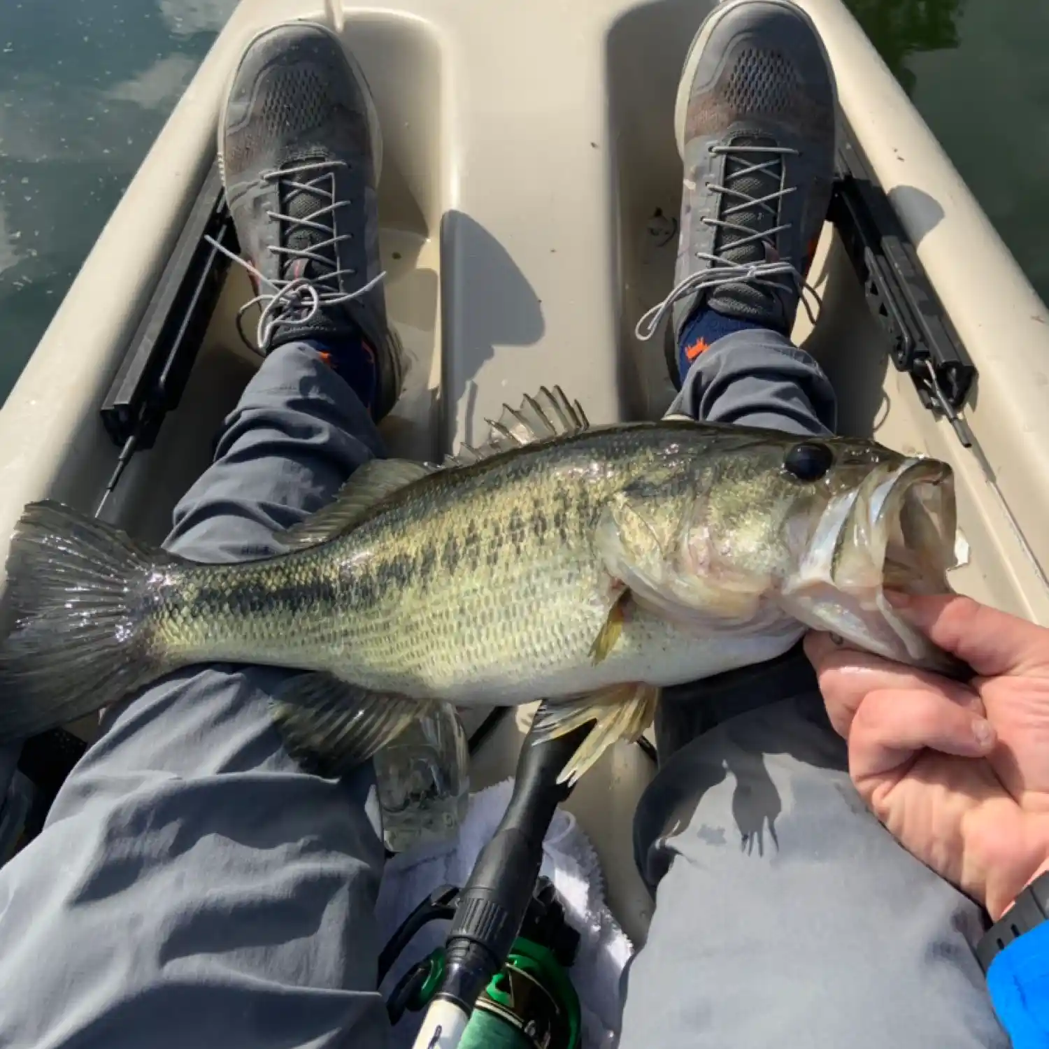 ᐅ Fancy Bluff Creek fishing reports🎣• Brunswick, GA (United